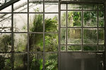 Glass Windows