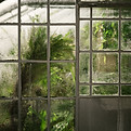 Glass Windows