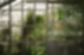 Glass Windows