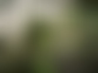 Weekly Market Report - March 6, 2023