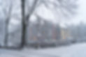 Snowy City