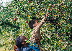 Relações familiares e sociais