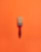 Paint Brush