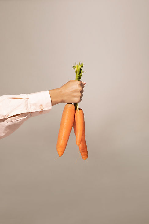Hand Holding Carrots