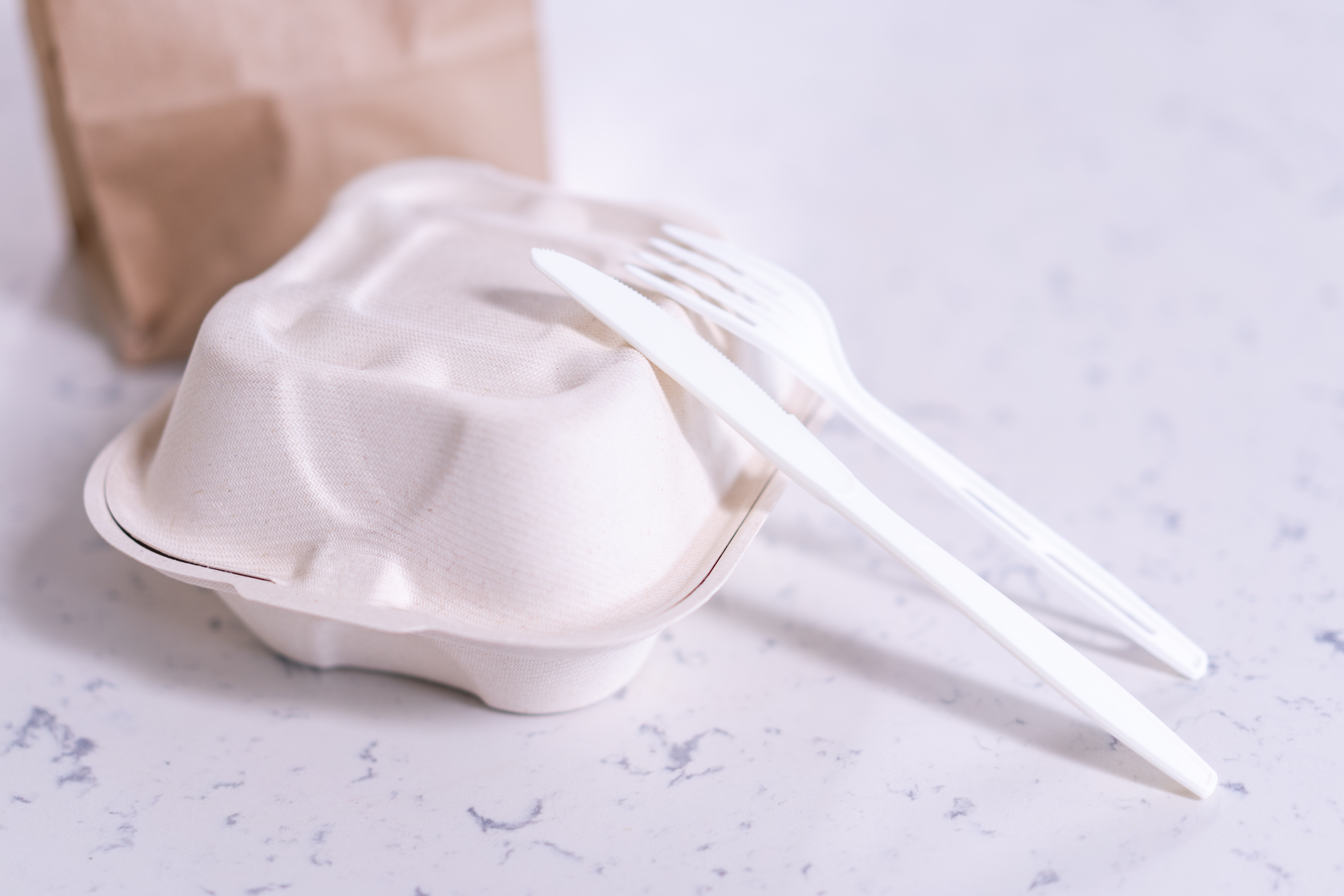 Arranged Food and Objects