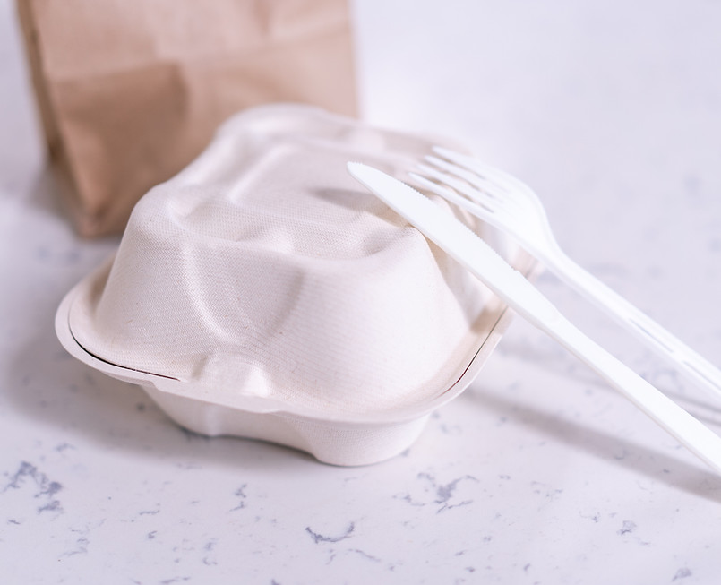 Disposable Food Package