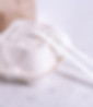 Disposable Food Package