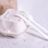 Disposable Food Package