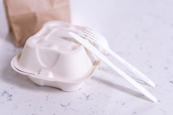 Take out container