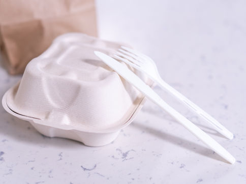 Disposable Food Package