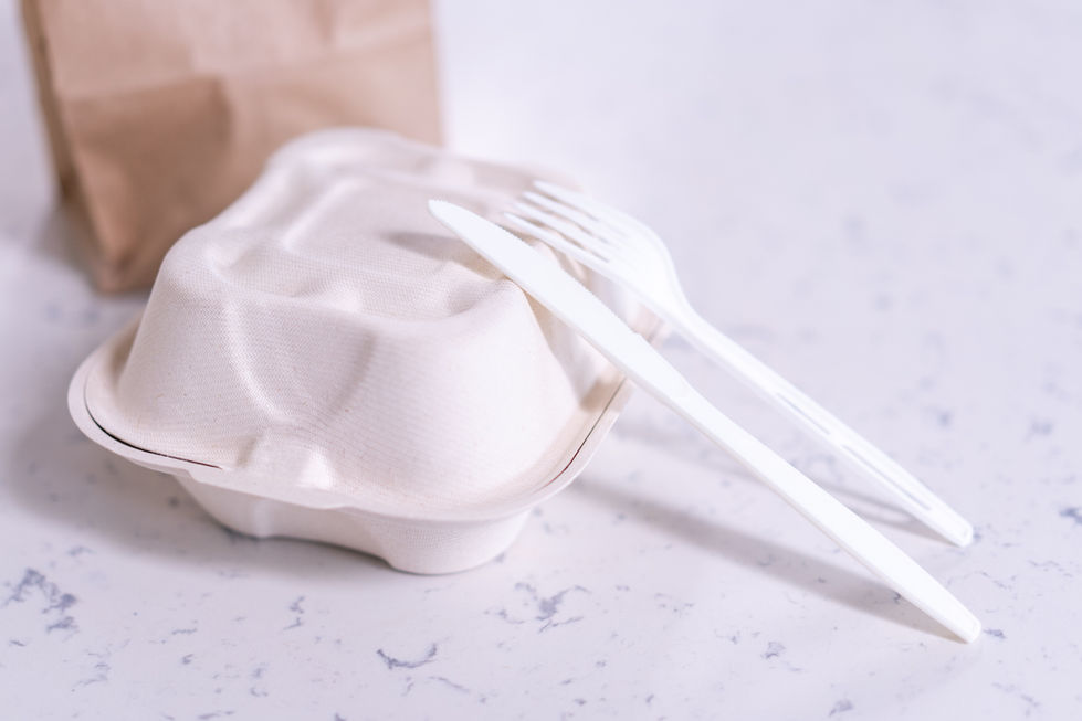 Disposable Food Package