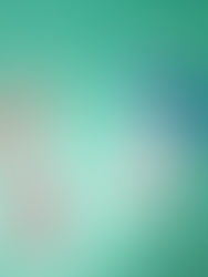 Household chemical products