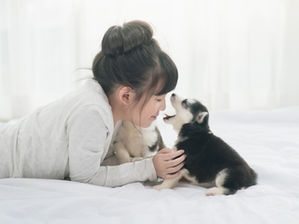 💖ディズニーから名付けたい、かわいい女の子「犬・猫」お名前ご紹介【うちの子記念にも】