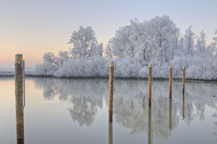 Winter Views