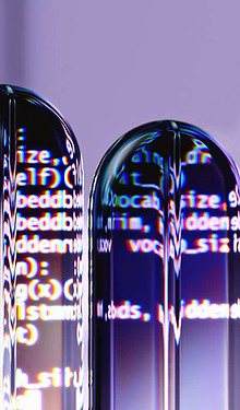 Digital Capsules