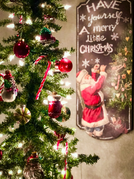 23 Dicembre | Il Villaggio di Babbo Natale | Viggianello