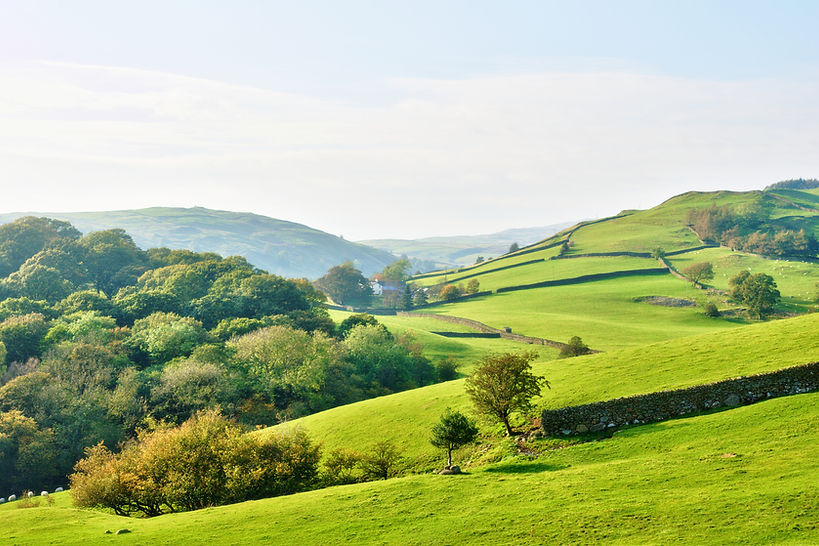 Rolling countryside around a farm