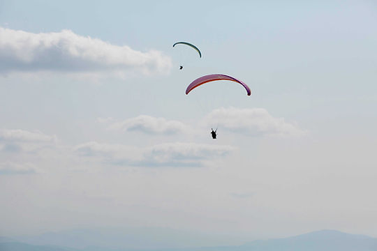 Paragliders