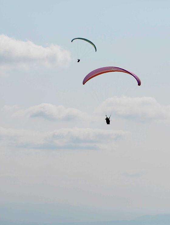 Paragliders