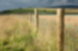 Fencing on Stafford shire hill farm in England