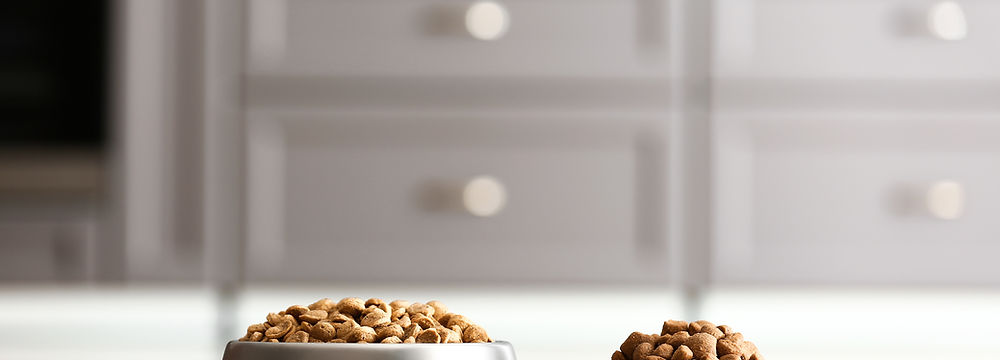 dog food