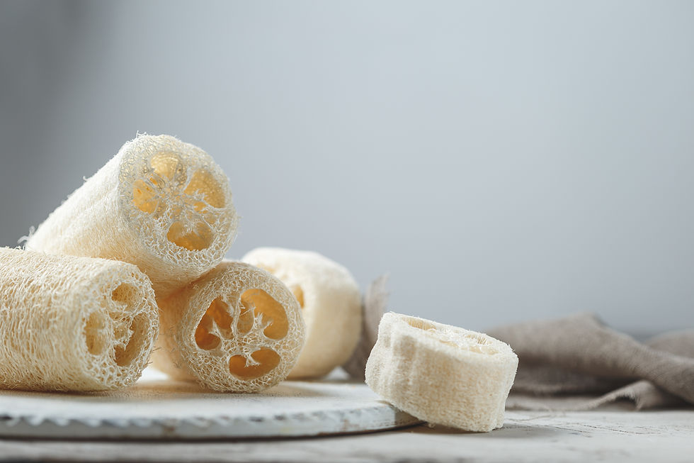 Natural Loofah Sponges