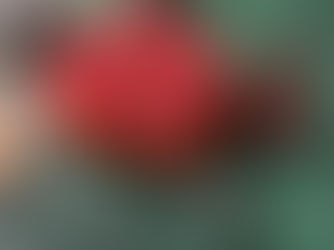 Dressed to Impress: Our 5 Favorite Toppings for a Perfect Cheesecake