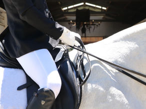 Risk awareness at equestrian premises