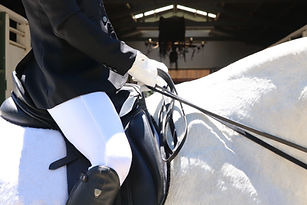 Horseback Riding