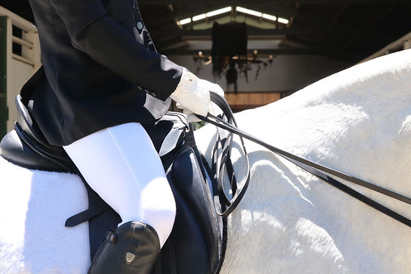 équitation pro