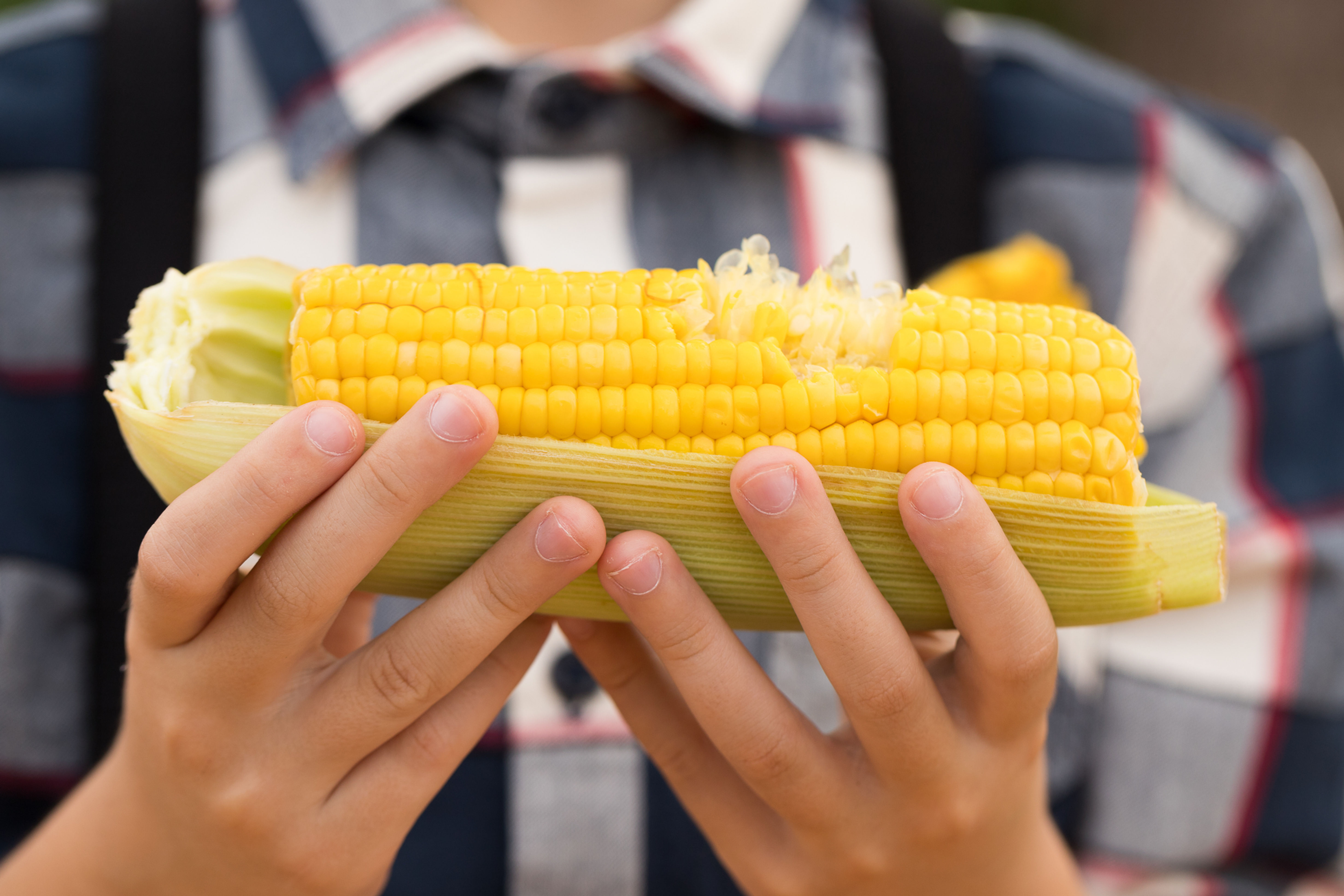 Bag of Corn on the Cob (Approx 60 Cobs)