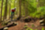 Mountainbiker fährt durch den Schwarzwald