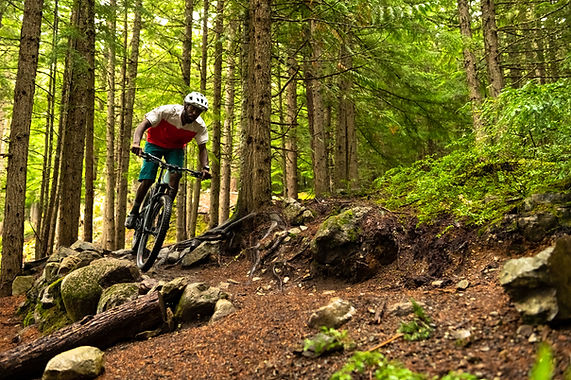 Riding in the Forest