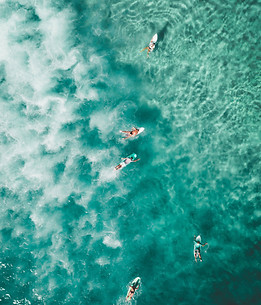 Surfers in Ocean