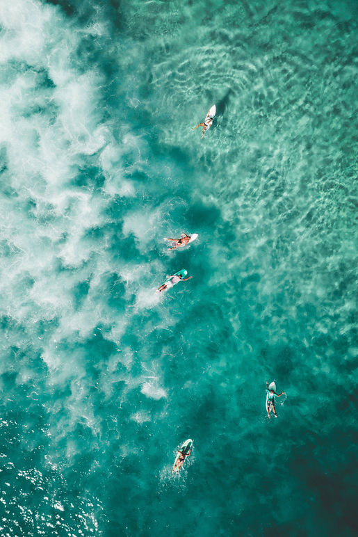 Surfers in Ocean