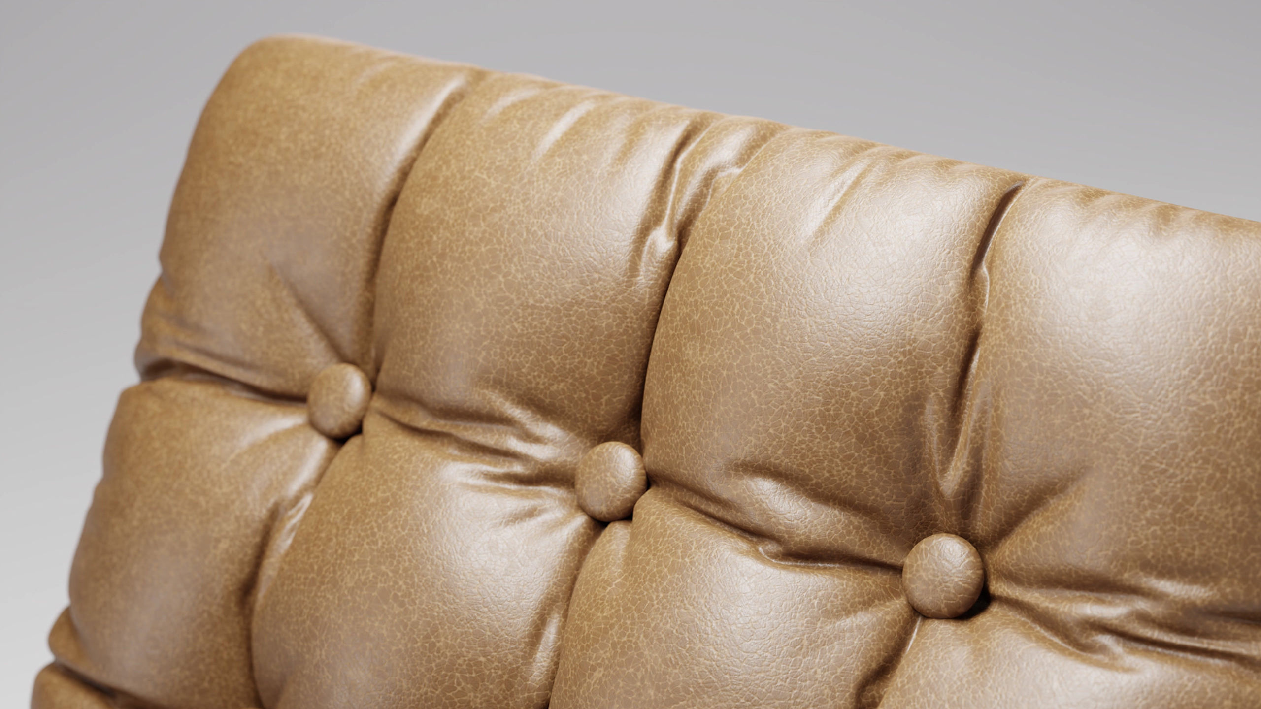 Leather Couch