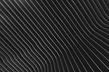 Parallel Lines
