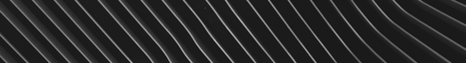 Parallel Lines