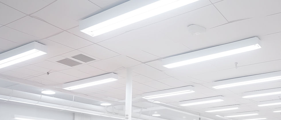 Plafond avec lumières