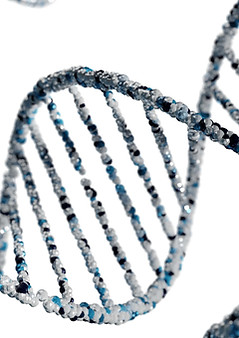DNA Double Helix