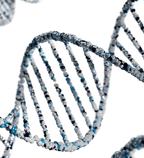 DNA Double Helix