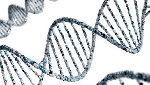 EU Court Rules on Genetic Sampling Without Consent