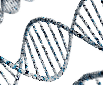 DNA Double Helix