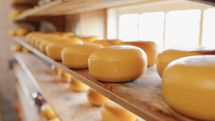 Lactalis acquires Queijos Tavares to expand cheese production in Portugal
