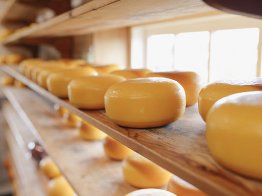Aprende hacer queso en Irlanda y Dinamarca