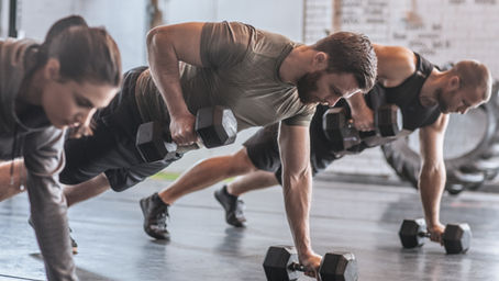 Biceps: Anatomy and Function