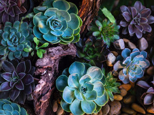 Signs It’s Time to Switch Your Grounds Maintenance Contractor