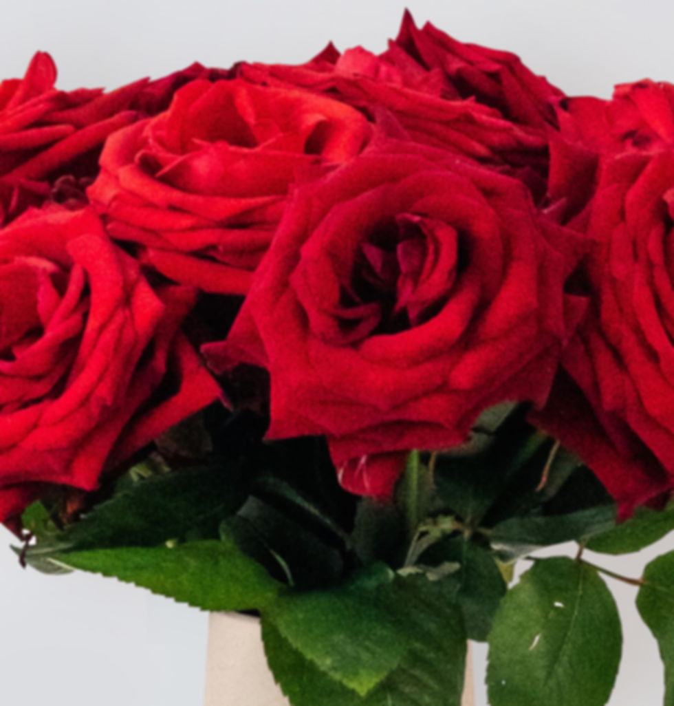 Red Roses