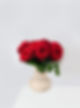 Red Roses