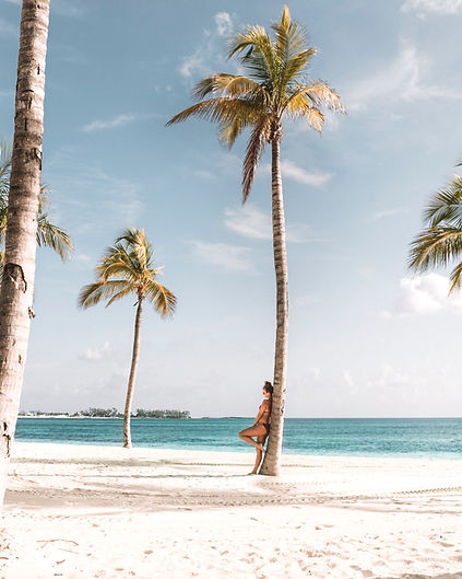 Leaning On Palm Tree